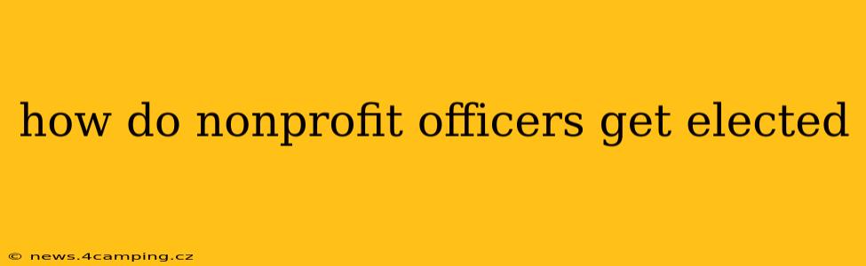 how do nonprofit officers get elected
