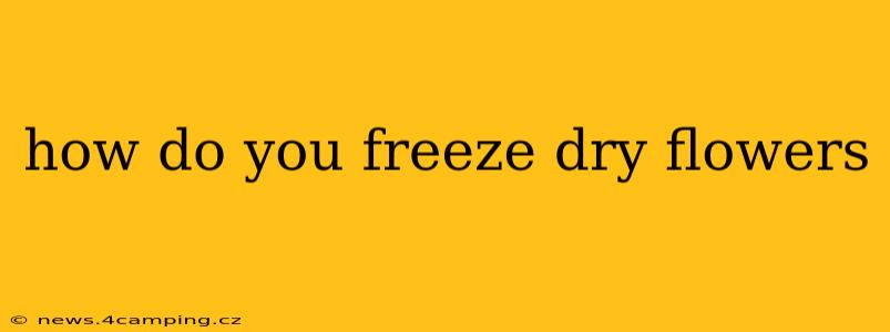 how do you freeze dry flowers