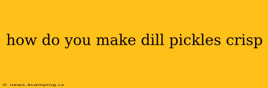 how do you make dill pickles crisp