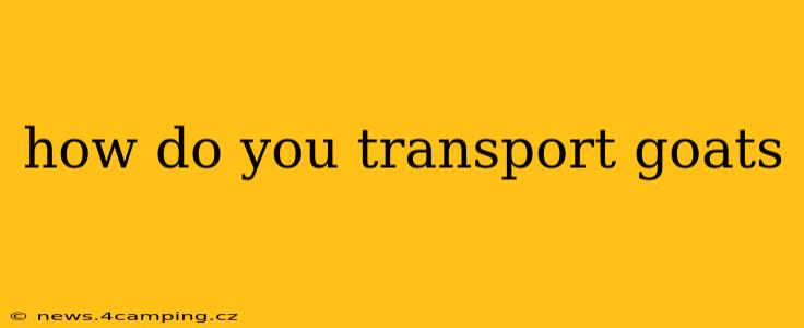 how do you transport goats