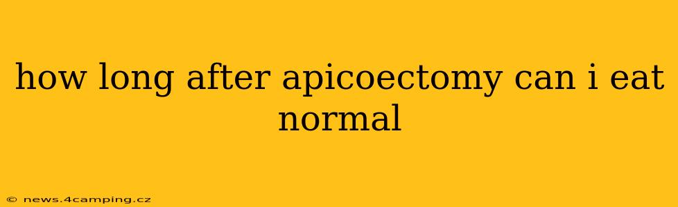 how long after apicoectomy can i eat normal