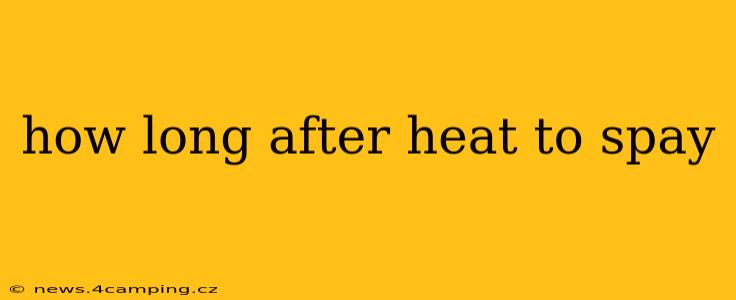 how long after heat to spay