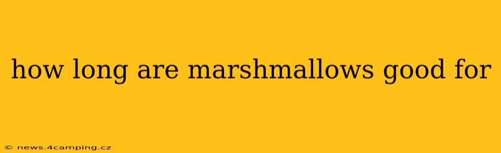 how long are marshmallows good for