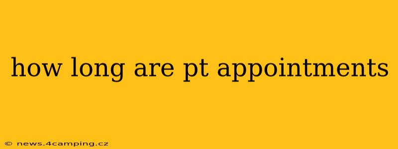 how long are pt appointments