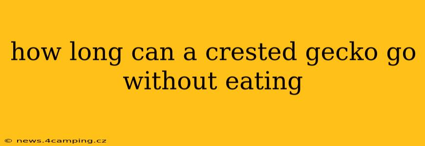 how long can a crested gecko go without eating