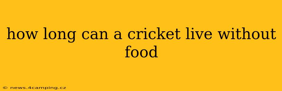 how long can a cricket live without food