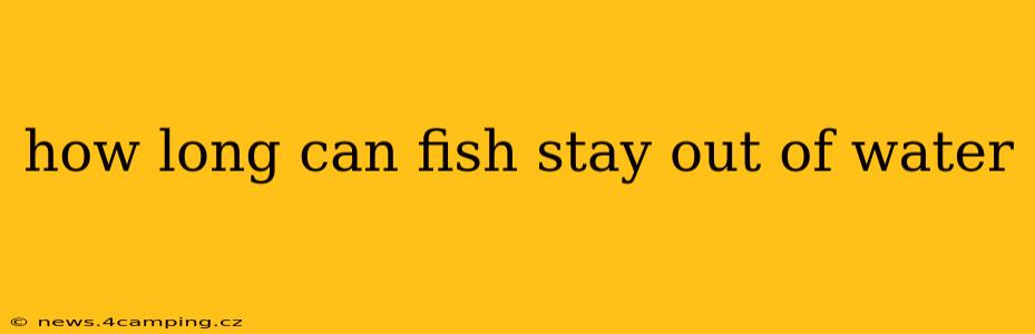 how long can fish stay out of water