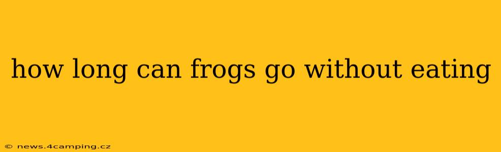how long can frogs go without eating