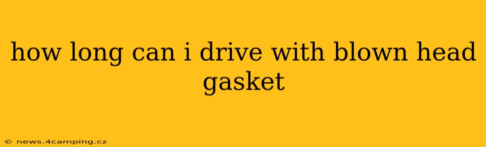 how long can i drive with blown head gasket