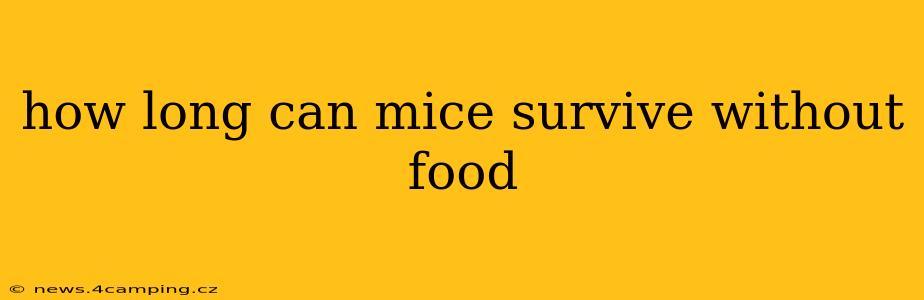 how long can mice survive without food