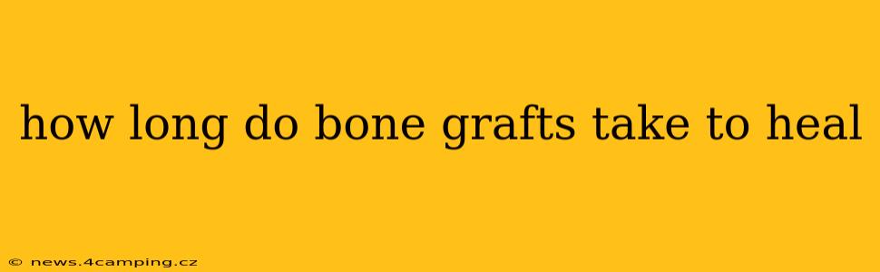 how long do bone grafts take to heal