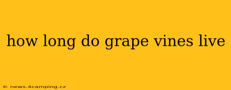 how long do grape vines live