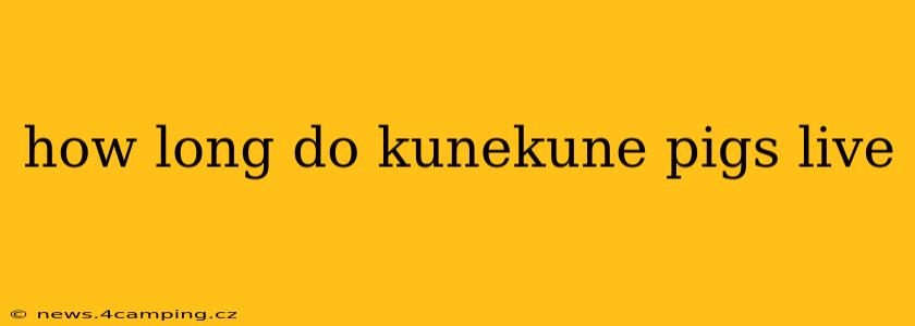 how long do kunekune pigs live