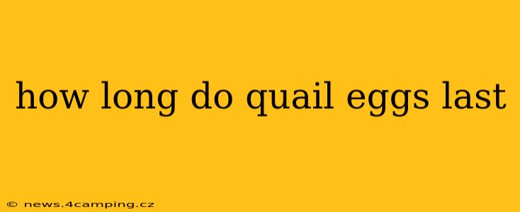 how long do quail eggs last