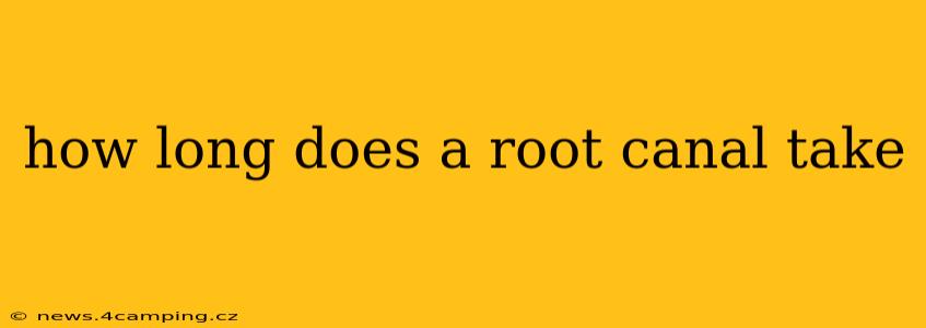 how long does a root canal take