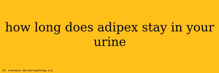 how long does adipex stay in your urine