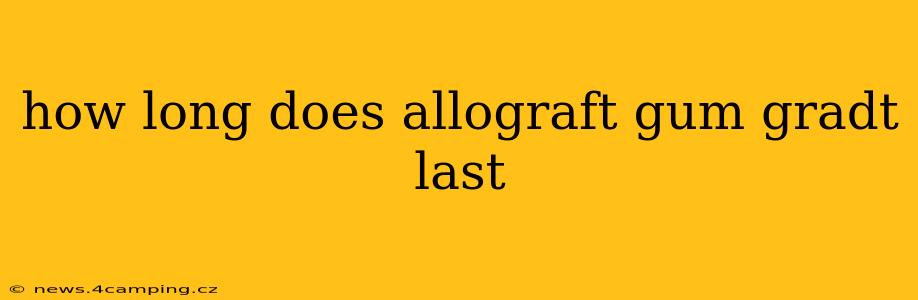 how long does allograft gum gradt last