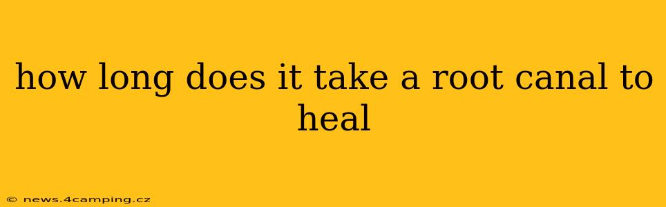 how long does it take a root canal to heal