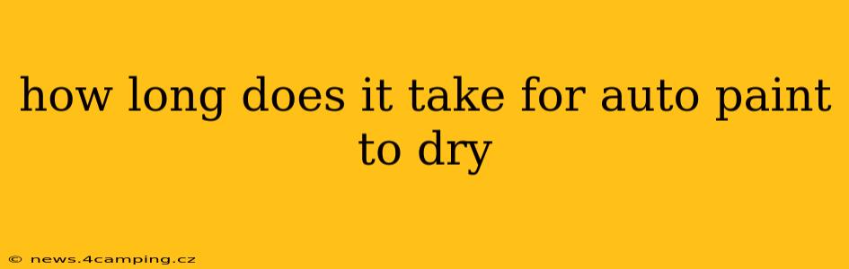 how long does it take for auto paint to dry