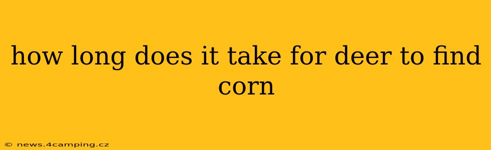 how long does it take for deer to find corn