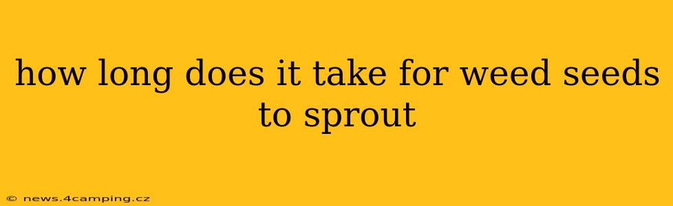 how long does it take for weed seeds to sprout