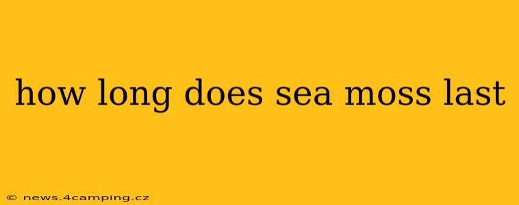 how long does sea moss last