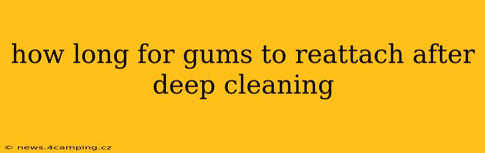 how long for gums to reattach after deep cleaning