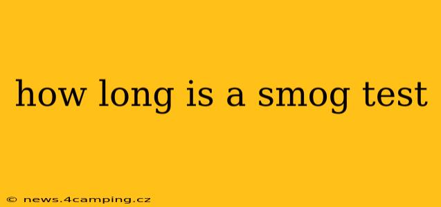 how long is a smog test