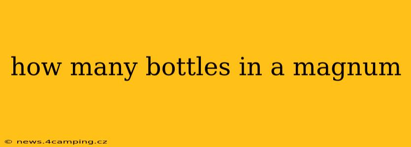 how many bottles in a magnum