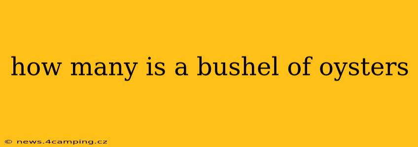 how many is a bushel of oysters