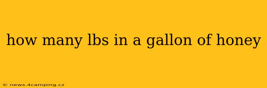 how many lbs in a gallon of honey