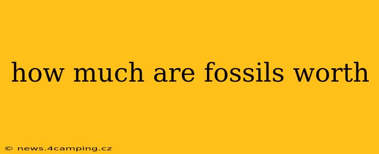 how much are fossils worth