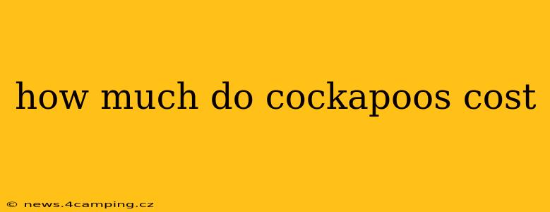how much do cockapoos cost