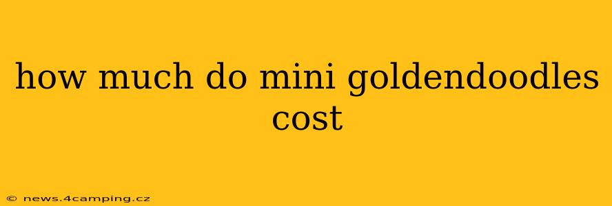 how much do mini goldendoodles cost