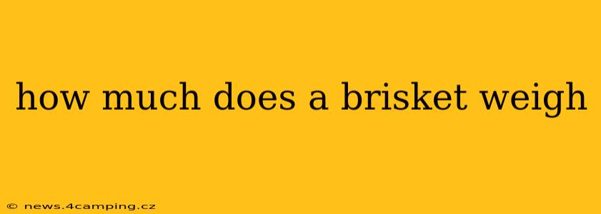 how much does a brisket weigh
