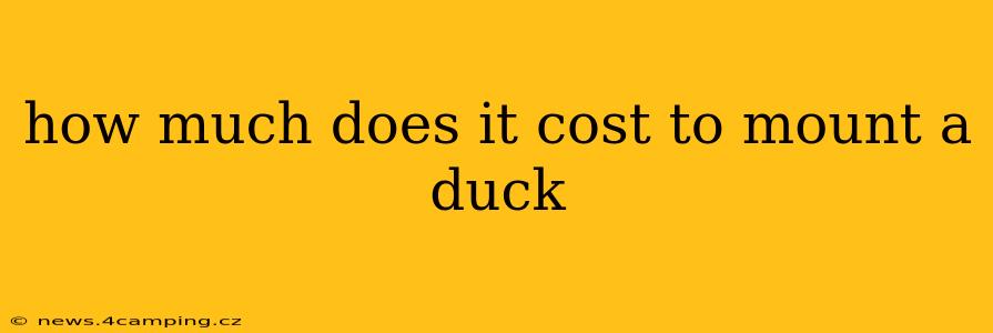 how much does it cost to mount a duck