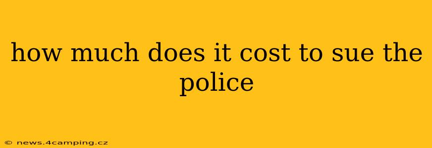 how much does it cost to sue the police