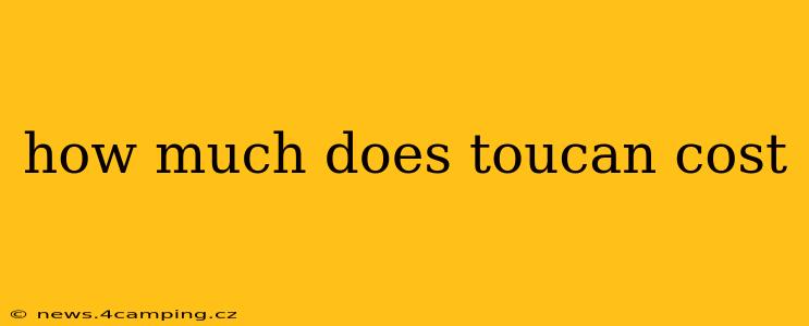 how much does toucan cost