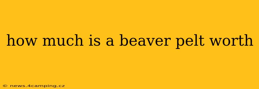 how much is a beaver pelt worth