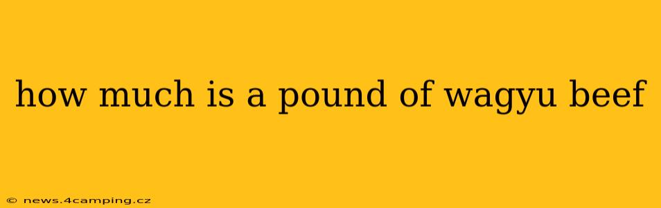 how much is a pound of wagyu beef
