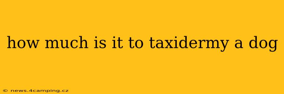 how much is it to taxidermy a dog