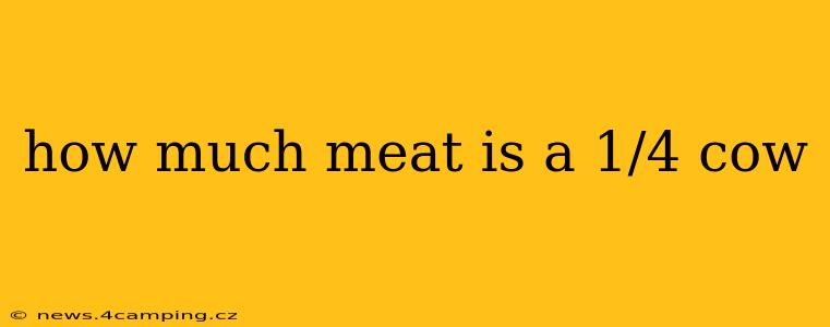 how much meat is a 1/4 cow