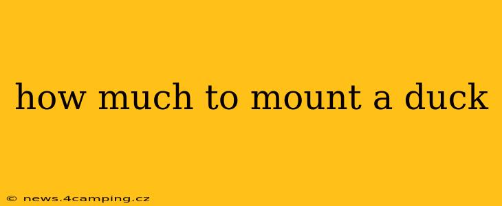how much to mount a duck