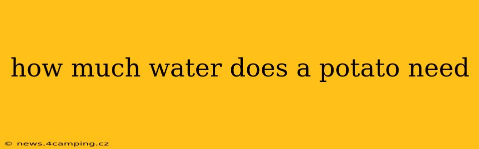 how much water does a potato need