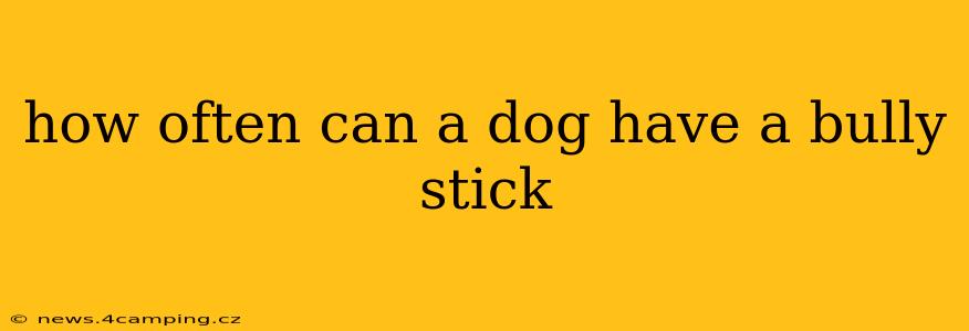 how often can a dog have a bully stick