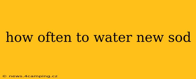 how often to water new sod