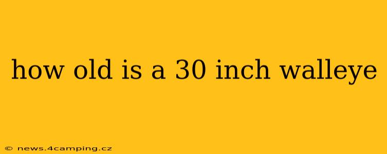 how old is a 30 inch walleye