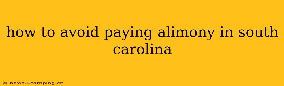 how to avoid paying alimony in south carolina