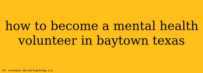 how to become a mental health volunteer in baytown texas