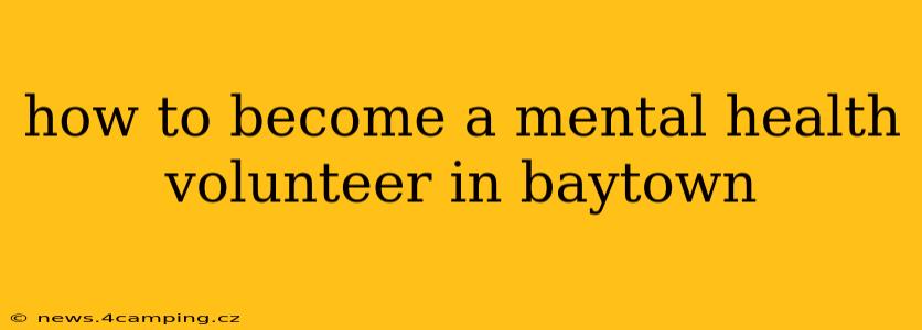 how to become a mental health volunteer in baytown